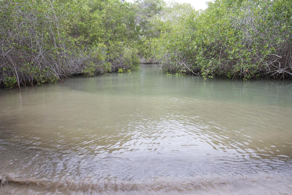 Paraiso De Isabela Puerto Villamil Exteriér fotografie