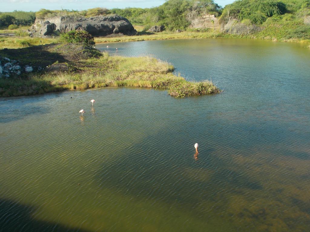 Paraiso De Isabela Puerto Villamil Exteriér fotografie